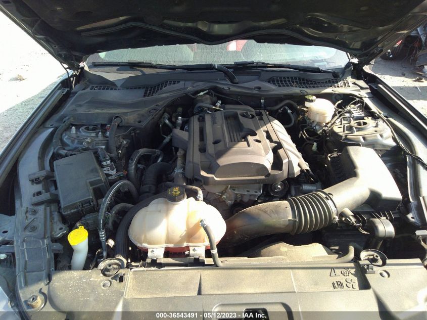 2019 FORD MUSTANG ECOBOOST - 1FA6P8TH6K5205162