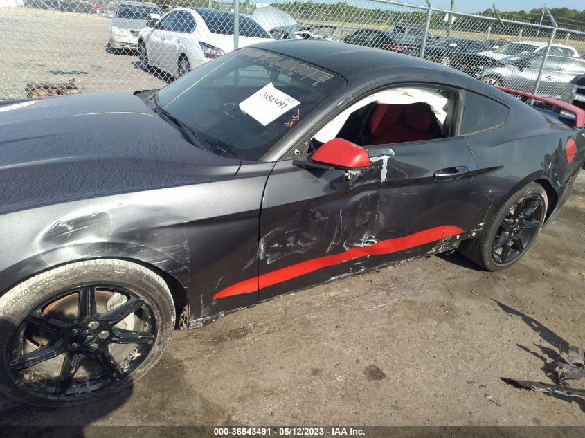 2019 FORD MUSTANG ECOBOOST - 1FA6P8TH6K5205162