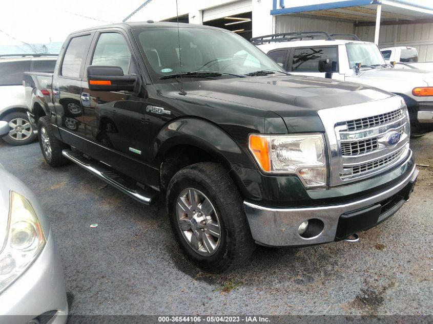 2013 FORD F-150 XL/XLT/FX4/LARIAT - 1FTFW1ET5DKG07829