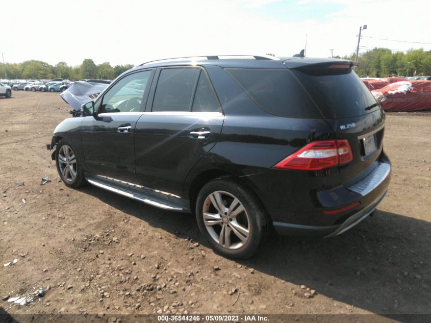 2015 MERCEDES-BENZ M-CLASS ML 250 BLUETEC - 4JGDA0EBXFA486100