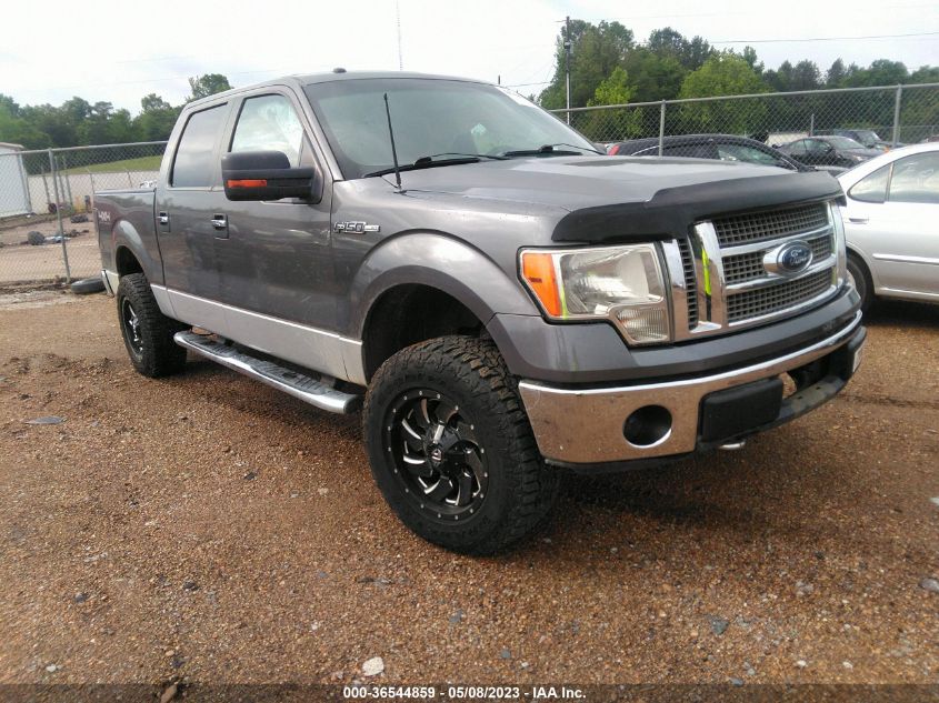 2013 FORD F-150 XL/XLT/FX4/LARIAT - 1FTFW1EF0DKE74357