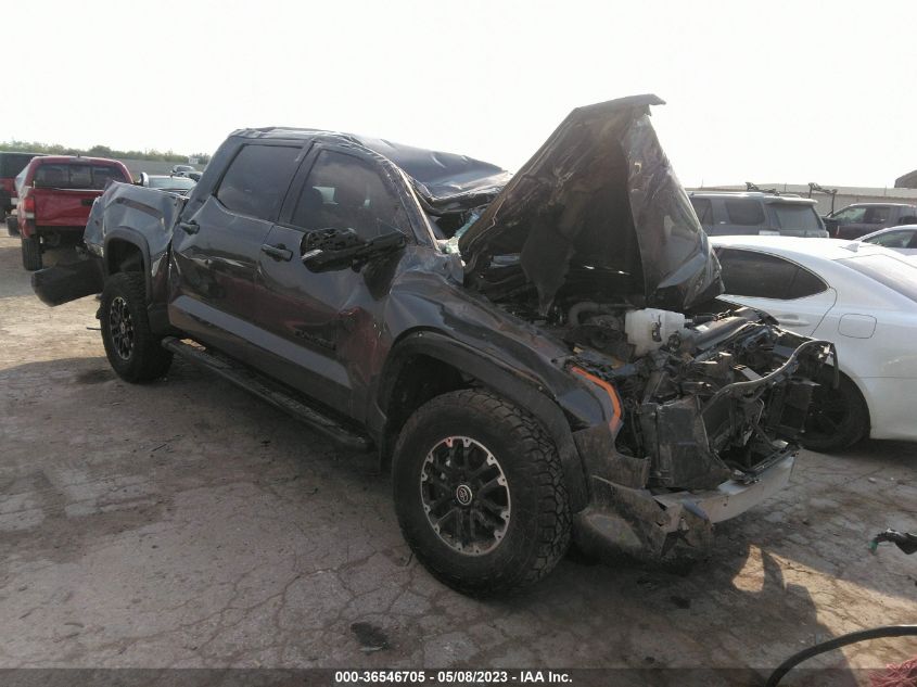2023 TOYOTA TUNDRA 4WD SR5 - 5TFLA5DB1PX066674