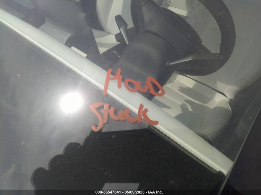 2019 TESLA MODEL 3 RANGE - 5YJ3E1EA9KF402707
