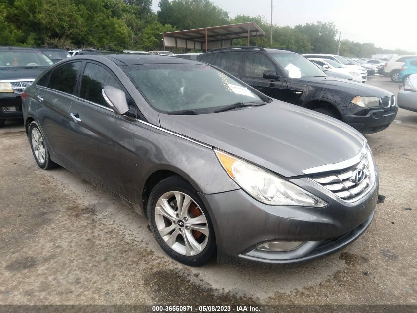 2013 HYUNDAI SONATA LIMITED - 5NPEC4AC6DH716956