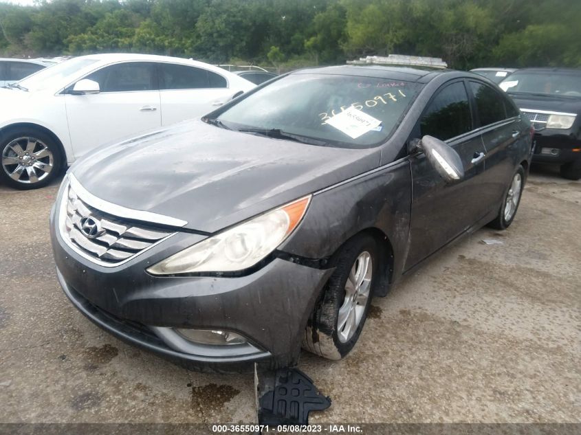 2013 HYUNDAI SONATA LIMITED - 5NPEC4AC6DH716956