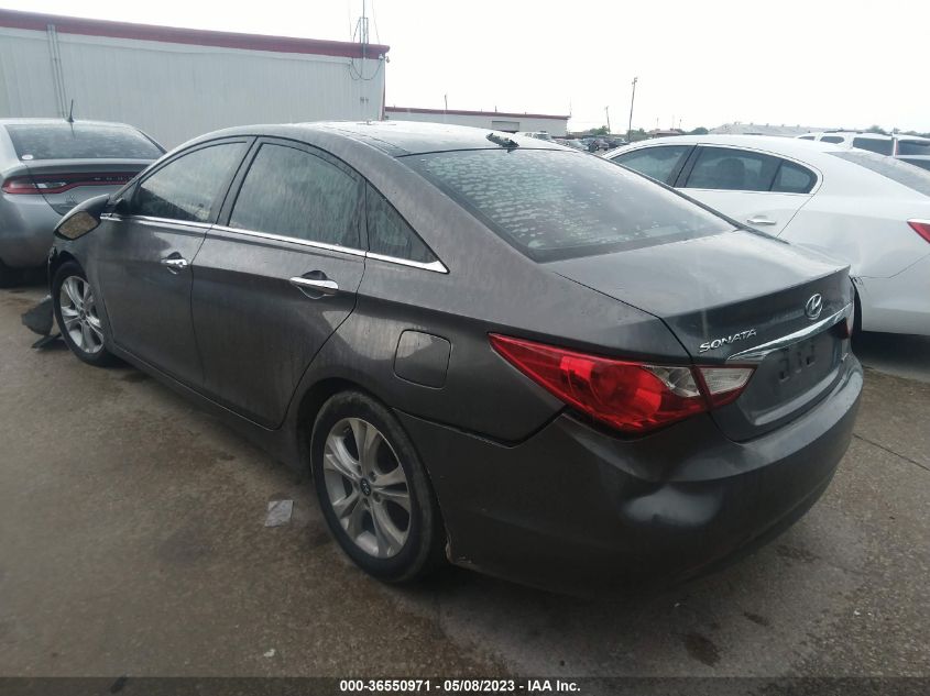 2013 HYUNDAI SONATA LIMITED - 5NPEC4AC6DH716956