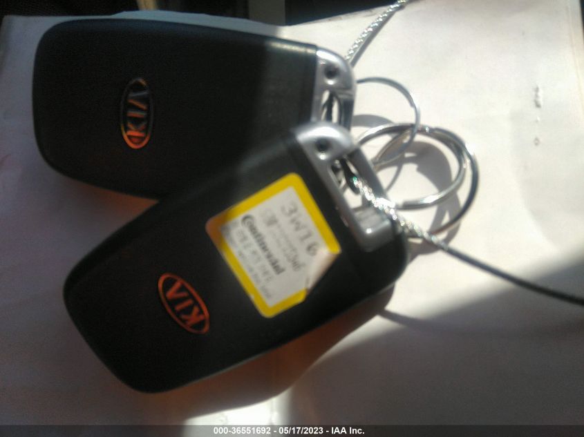 2013 KIA SPORTAGE EX - KNDPCCA24D7437455