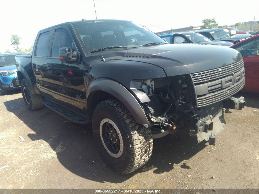 2013 FORD F-150 SVT RAPTOR - 1FTFW1R61DFC45141