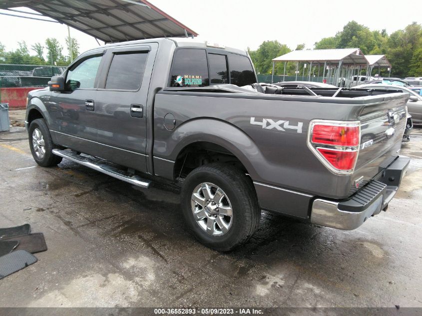 2014 FORD F-150 XL/XLT/STX/FX4/LARIAT - 1FTFW1EF4EKD04360