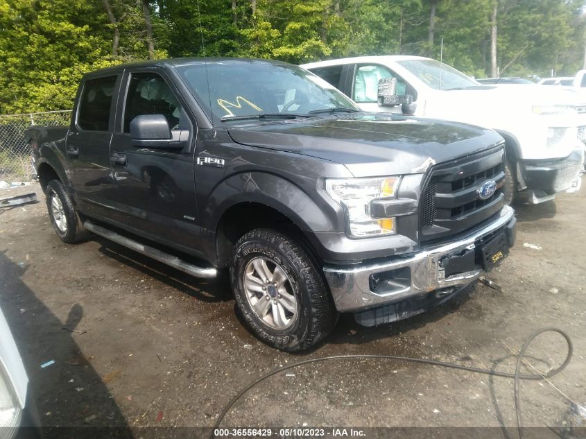 2015 FORD F-150 XLT/XL/LARIAT - 1FTEW1EP7FKD47113