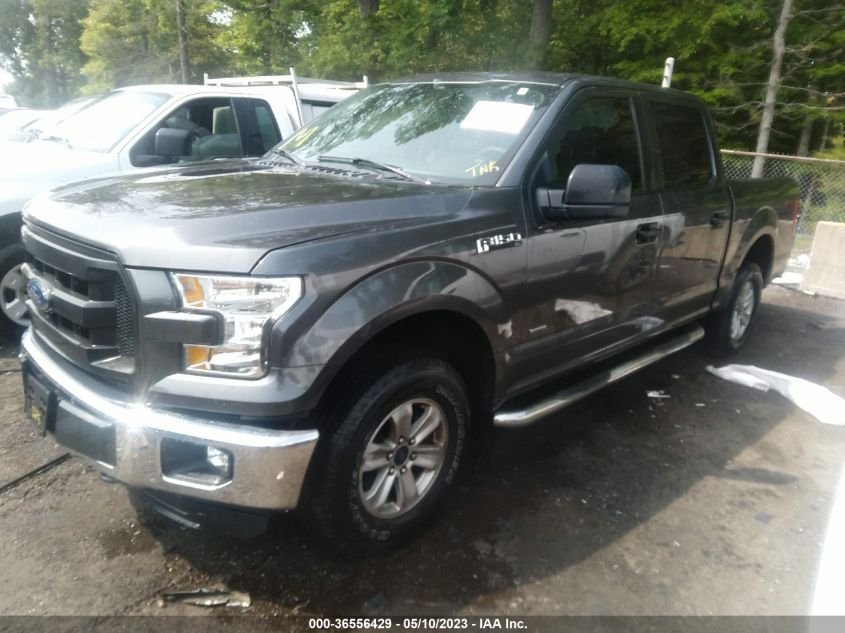 2015 FORD F-150 XLT/XL/LARIAT - 1FTEW1EP7FKD47113