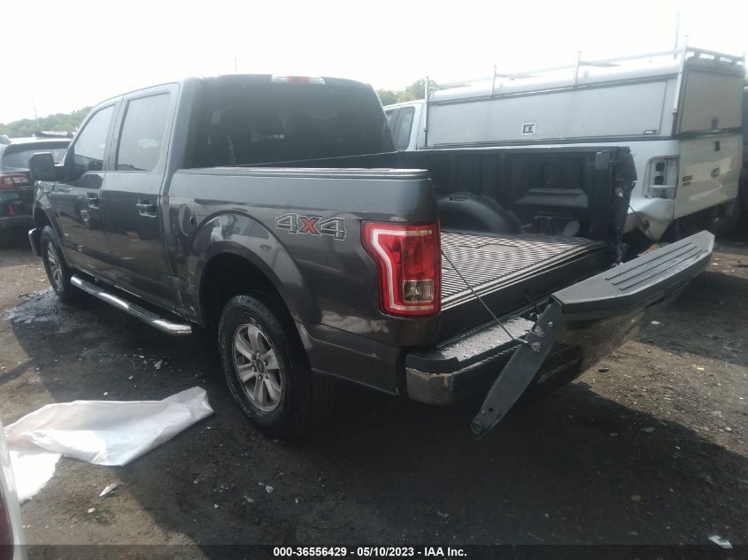 2015 FORD F-150 XLT/XL/LARIAT - 1FTEW1EP7FKD47113