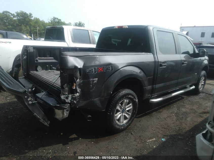 2015 FORD F-150 XLT/XL/LARIAT - 1FTEW1EP7FKD47113