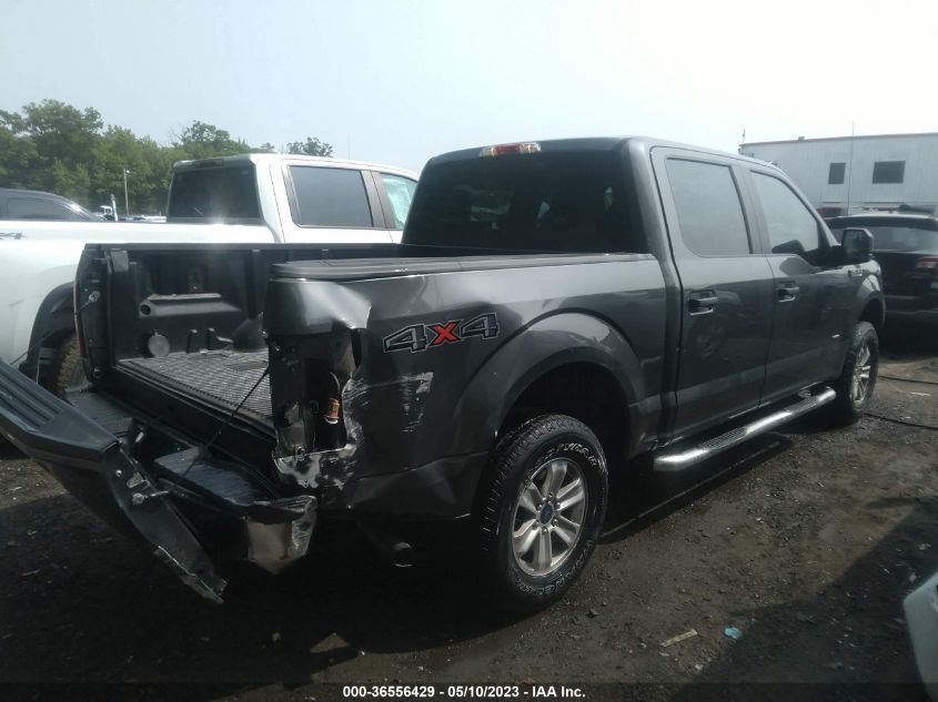 2015 FORD F-150 XLT/XL/LARIAT - 1FTEW1EP7FKD47113