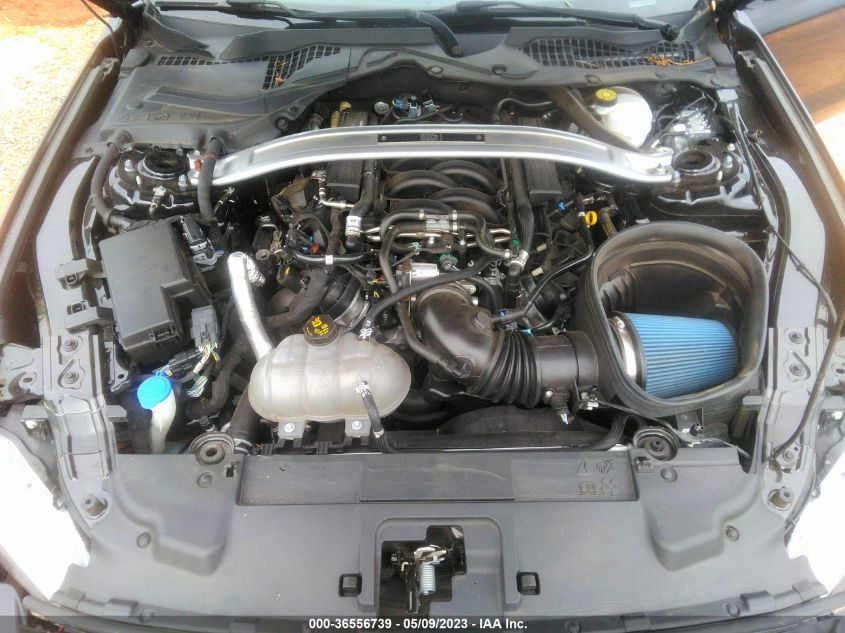 2021 FORD MUSTANG MACH 1 - 1FA6P8R00M5552880