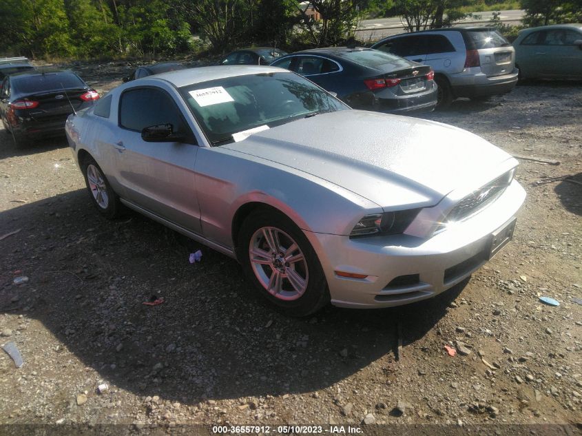 2014 FORD MUSTANG V6 - 1ZVBP8AMXE5237929