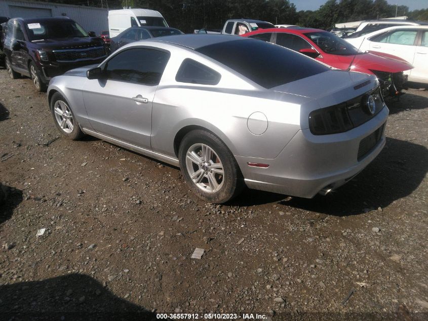 2014 FORD MUSTANG V6 - 1ZVBP8AMXE5237929