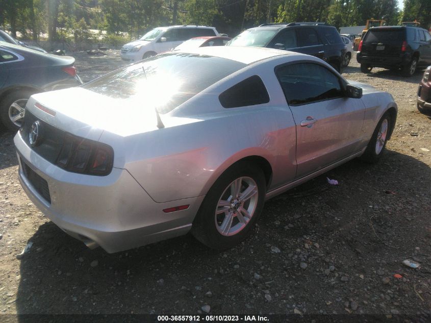 2014 FORD MUSTANG V6 - 1ZVBP8AMXE5237929