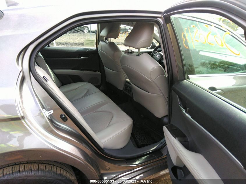 2023 TOYOTA CAMRY XLE - 4T1F11BK5PU094449