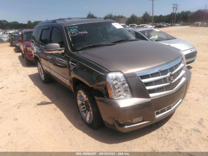 2013 CADILLAC ESCALADE PLATINUM EDITION - 1GYS4DEF8DR117984