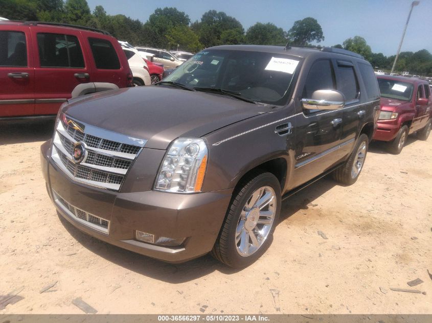 2013 CADILLAC ESCALADE PLATINUM EDITION - 1GYS4DEF8DR117984