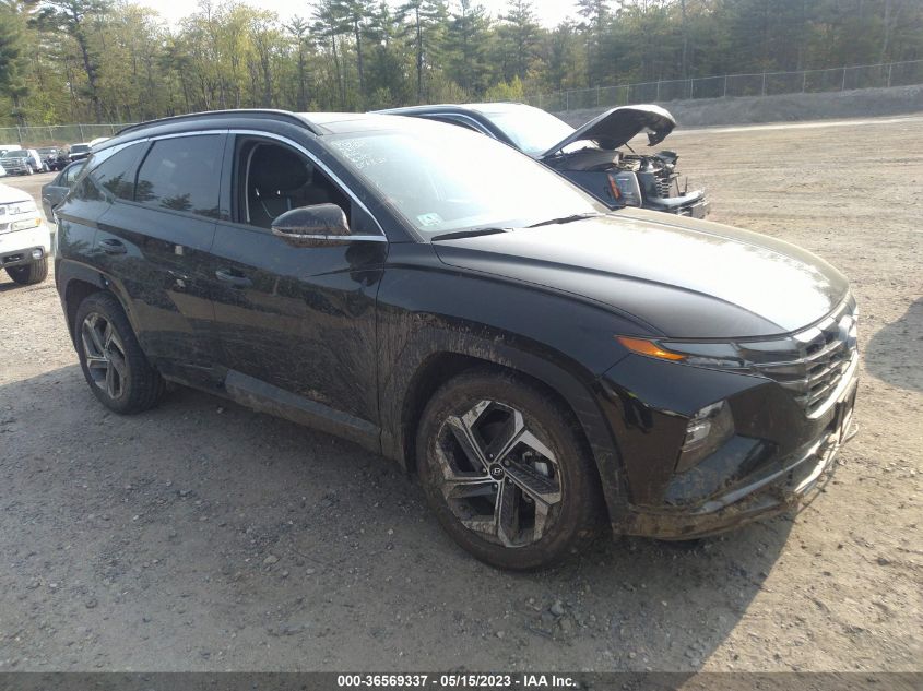 2022 HYUNDAI TUCSON LIMITED - 5NMJECAE5NH119445