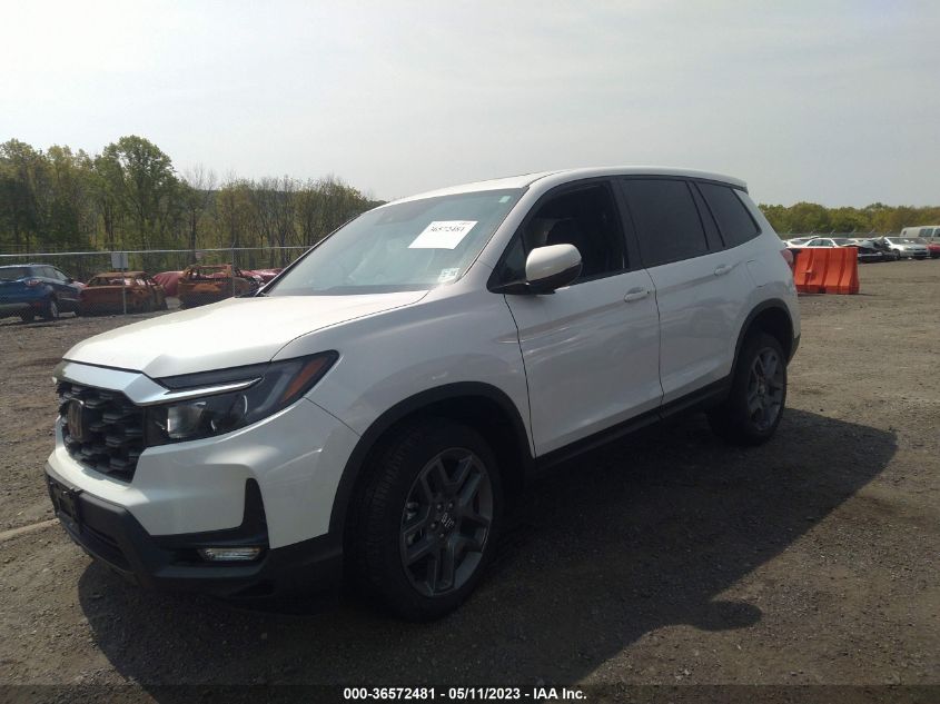 2023 HONDA PASSPORT EX-L - 5FNYF8H52PB009911