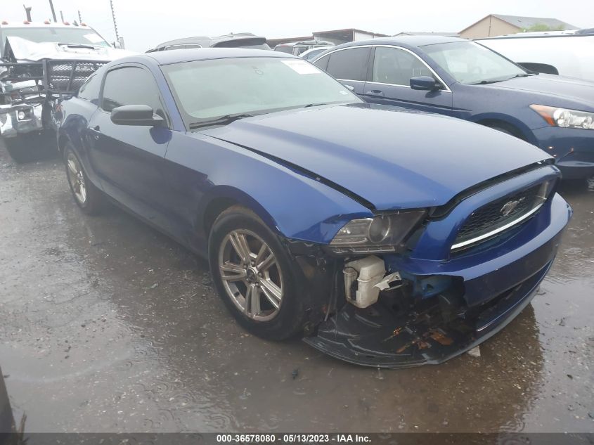 2014 FORD MUSTANG - 1ZBCPHAM4E5270246