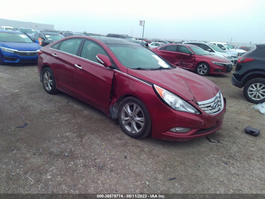 2013 HYUNDAI SONATA LIMITED - 5NPEC4ACXDH577348