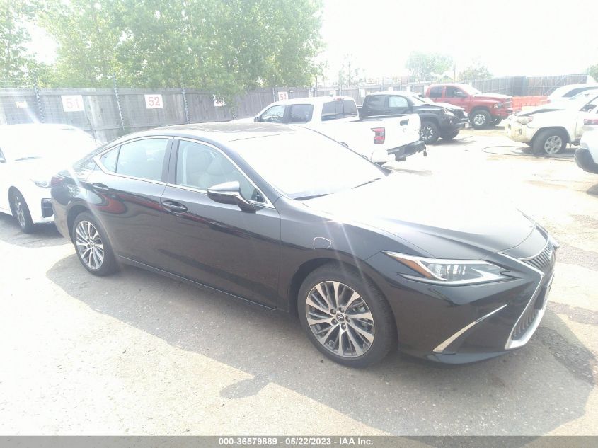 2021 LEXUS ES ES 250 - 58AD11D17MU007005