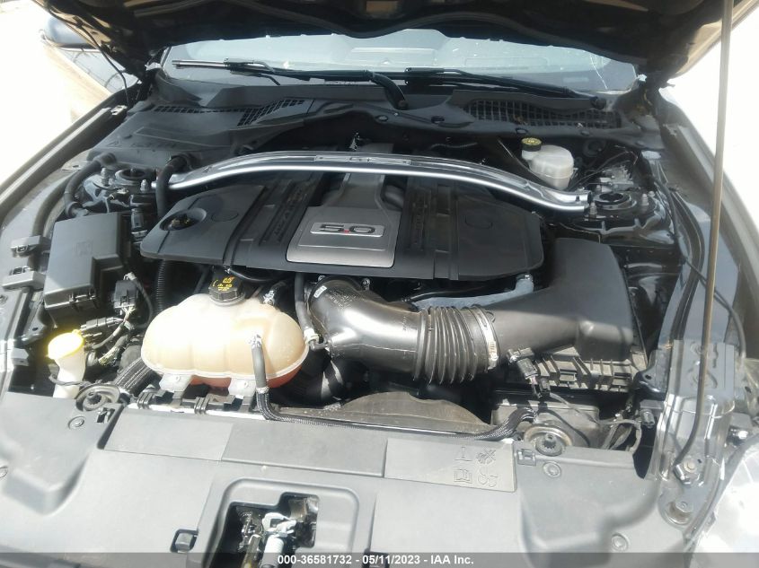 2019 FORD MUSTANG GT - 1FA6P8CF6K5195375
