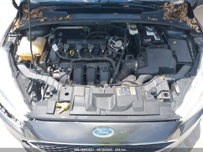 VIN 1FADP3F23HL326981 2017 FORD FOCUS SE