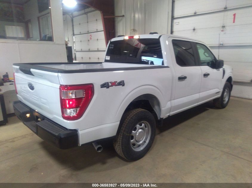 2023 FORD F-150 XL/XLT/LARIAT - 1FTFW1ED9PFB45488