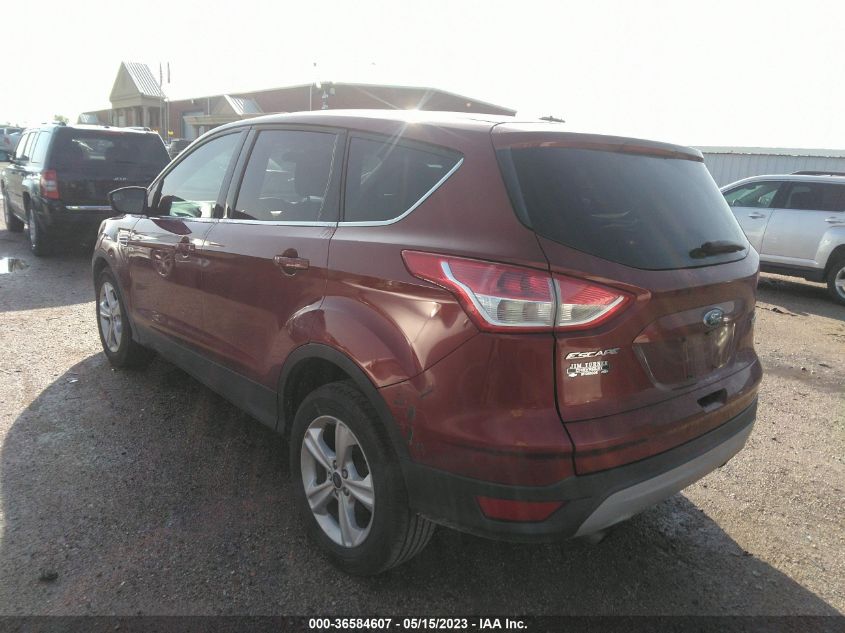 2014 FORD ESCAPE SE - 1FMCU0GX7EUA38017