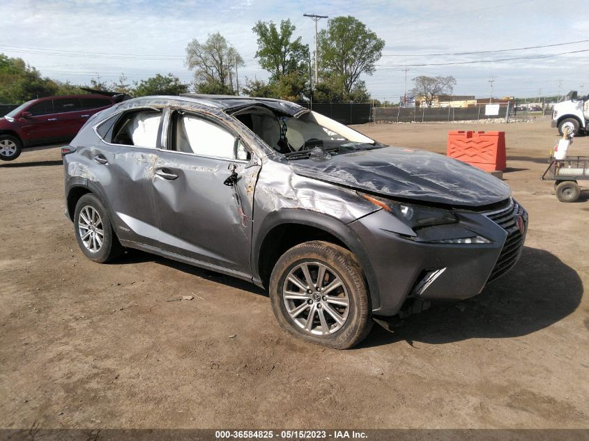 2021 LEXUS NX NX 300H - JTJDJRDZ4M2151216