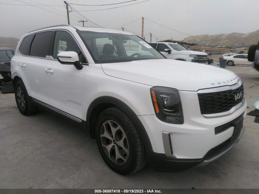 2022 KIA TELLURIDE EX - 5XYP3DHC8NG254388