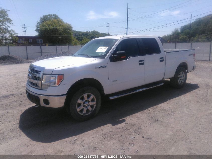 2013 FORD F-150 XL/XLT/FX4/LARIAT - 1FTFW1ET2DFA41539