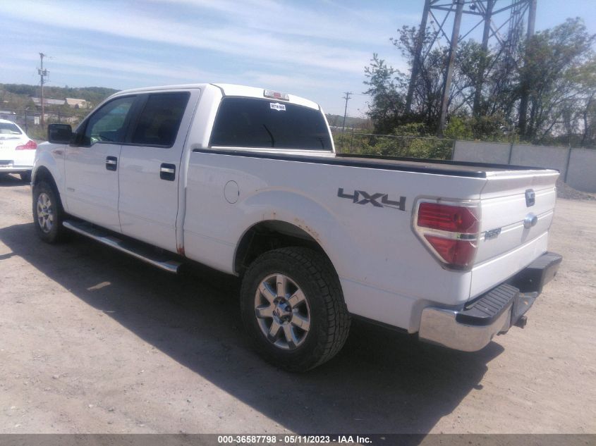 2013 FORD F-150 XL/XLT/FX4/LARIAT - 1FTFW1ET2DFA41539