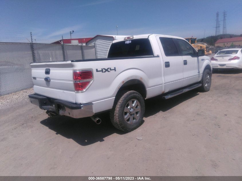 2013 FORD F-150 XL/XLT/FX4/LARIAT - 1FTFW1ET2DFA41539