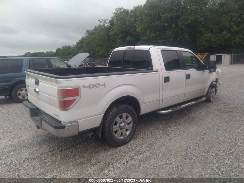 2014 FORD F-150 XL/XLT/STX/FX4/LARIAT - 1FTFW1EF0EKF80003