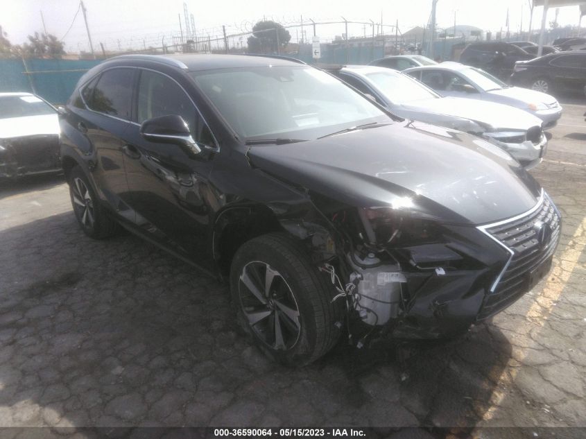 2020 LEXUS NX NX 300H - JTJGJRDZ7L2145017