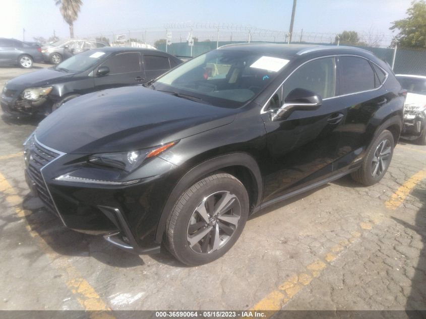 2020 LEXUS NX NX 300H - JTJGJRDZ7L2145017