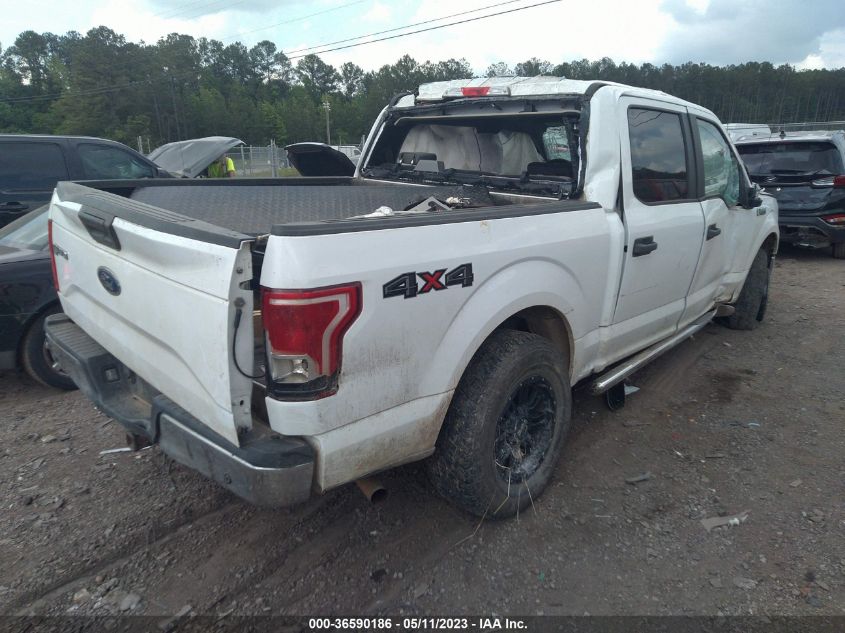 2017 FORD F-150 XL/XLT - 1FTEW1E83HKE25656