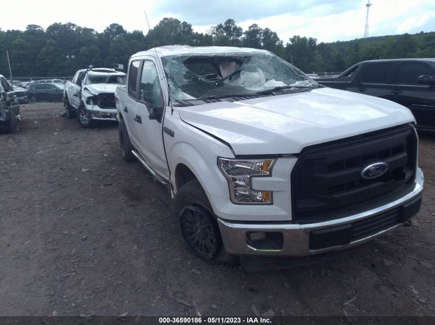 2017 FORD F-150 XL/XLT - 1FTEW1E83HKE25656