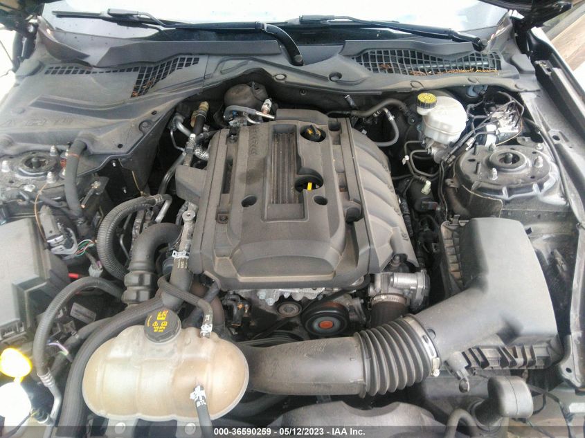 2019 FORD MUSTANG ECOBOOST - 1FA6P8TH7K5205073