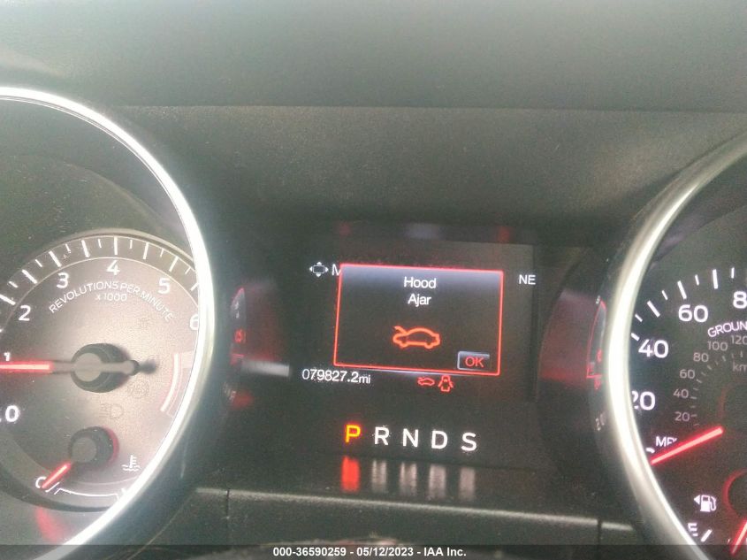 2019 FORD MUSTANG ECOBOOST - 1FA6P8TH7K5205073