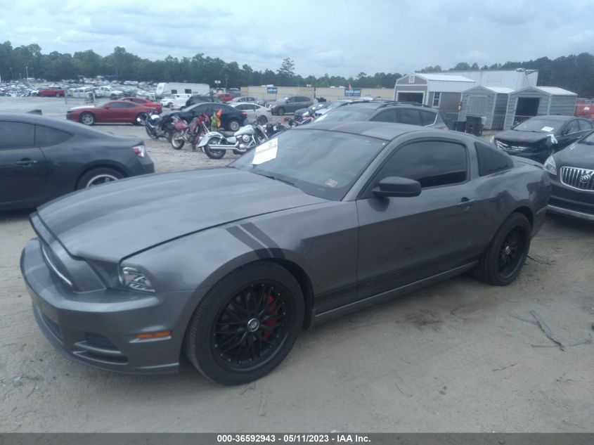 2013 FORD MUSTANG V6 - 1ZVBP8AM5D5235357