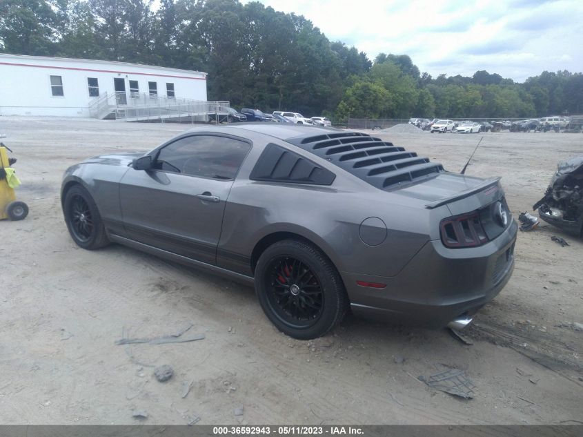 2013 FORD MUSTANG V6 - 1ZVBP8AM5D5235357