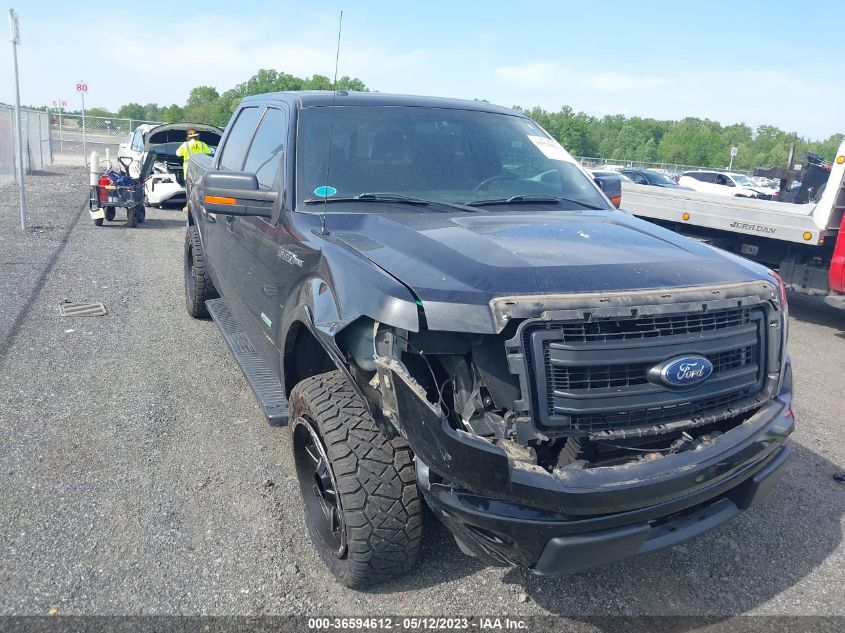 2013 FORD F-150 XL/XLT/FX2/LARIAT - 1FTFW1CT5DFB20612