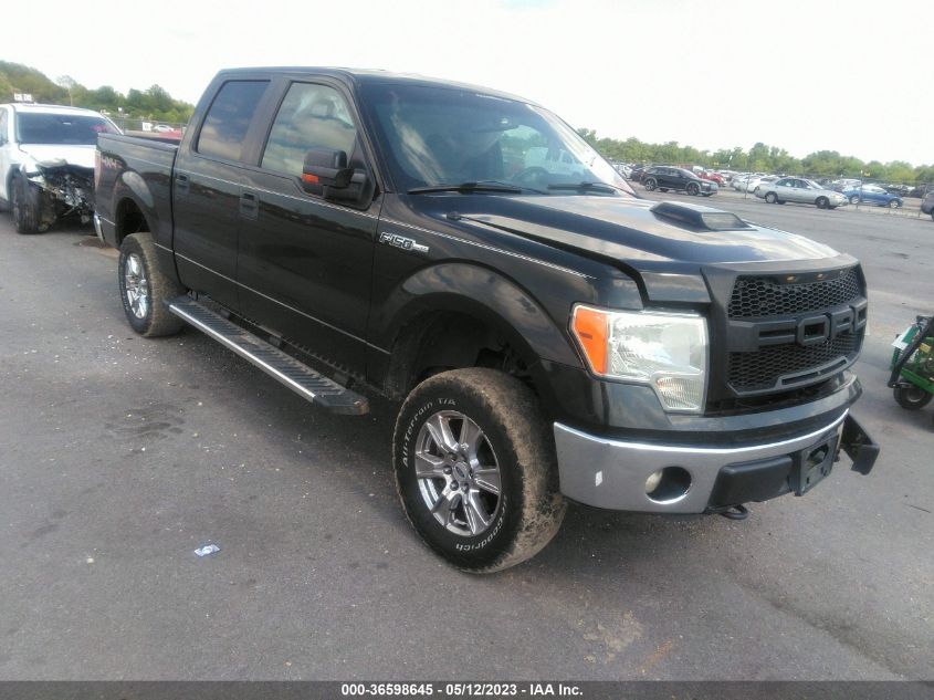 2013 FORD F-150 XL/XLT/FX4/LARIAT - 1FTFW1EF0DKF15473